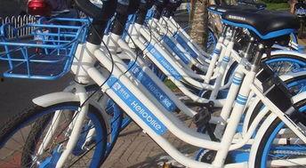 哈罗单车最新爆料,揭秘行业变革与创新趋势