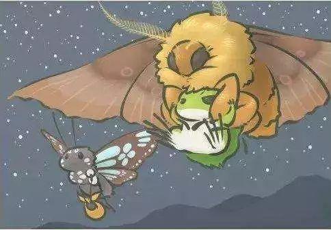 萤子 第一夜在线观看